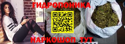 МДПВ Моздок
