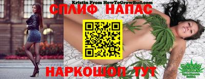 spice Можайск