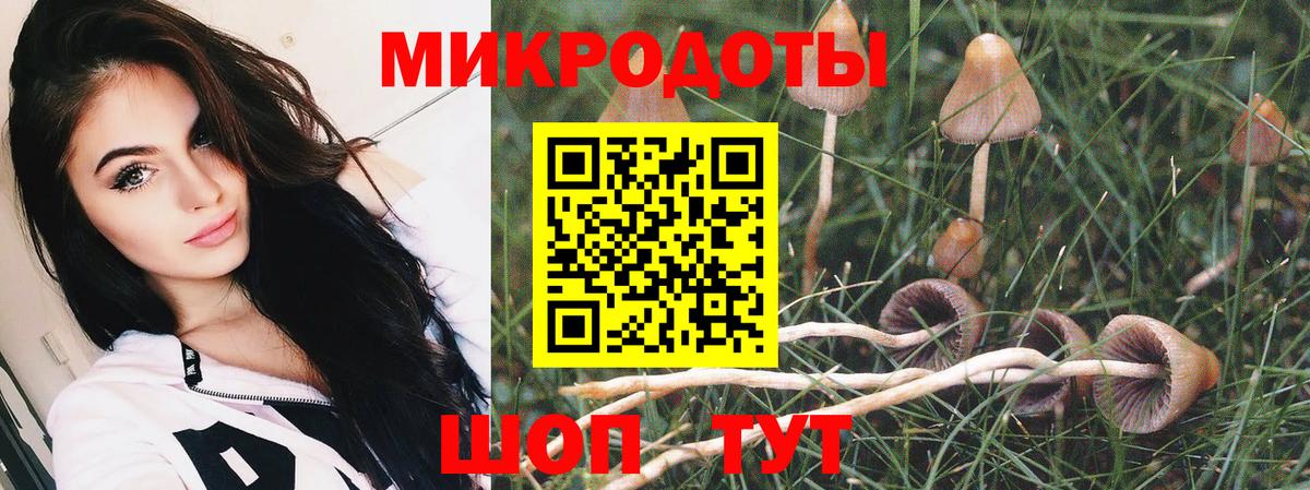 Одинцово  Галлюциногенные грибы мицелий  Вход с VPN 